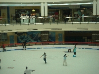 Looking At Skaters